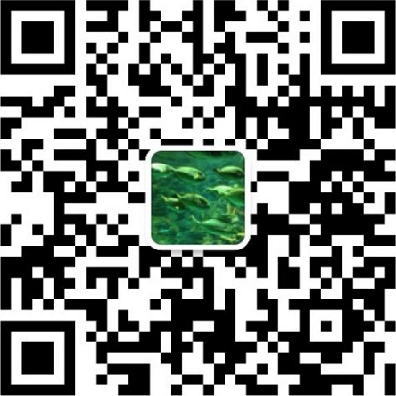 云南特种变压器维修